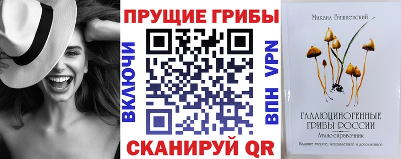 где найти   Дятьково  Галлюциногенные грибы мухоморы 