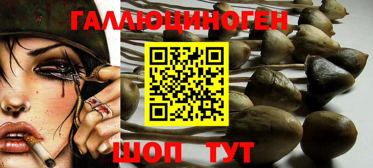 Галлюциногенные грибы Magic Shrooms  Вход с VPN  Дятьково 